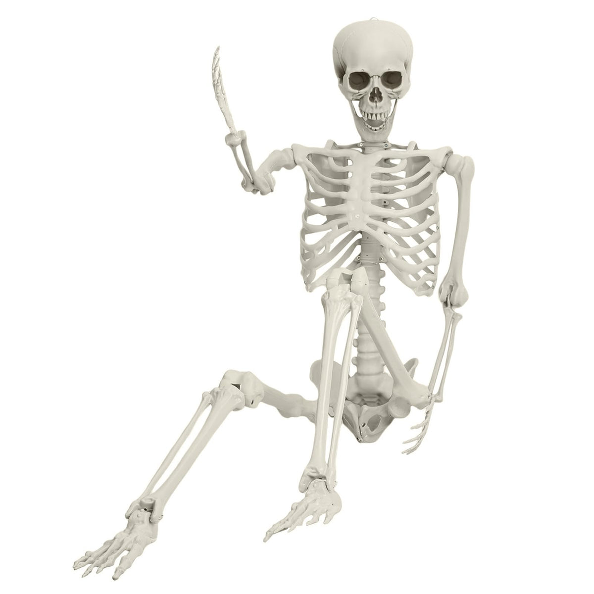 Full Size Movable Posable Skeleton X231709