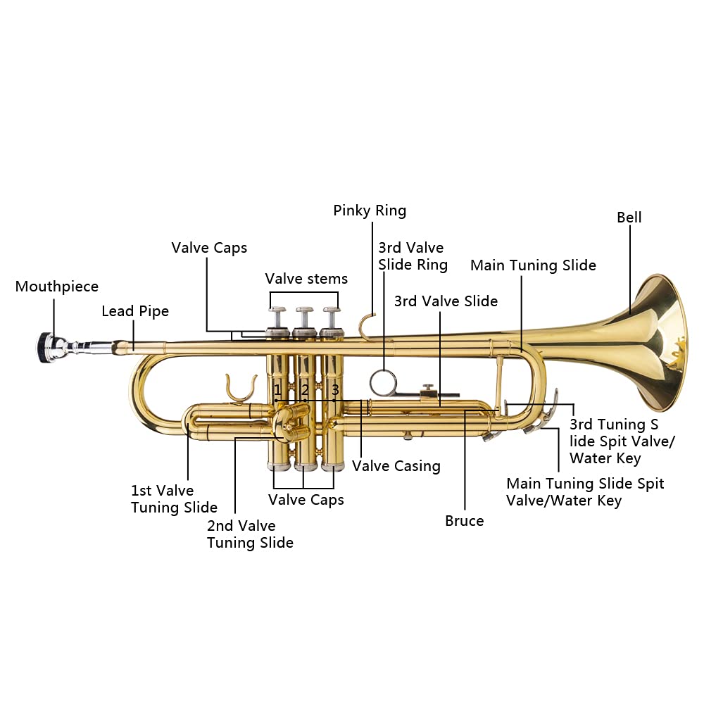 Bb Trumpet with Case and Gloves G9429