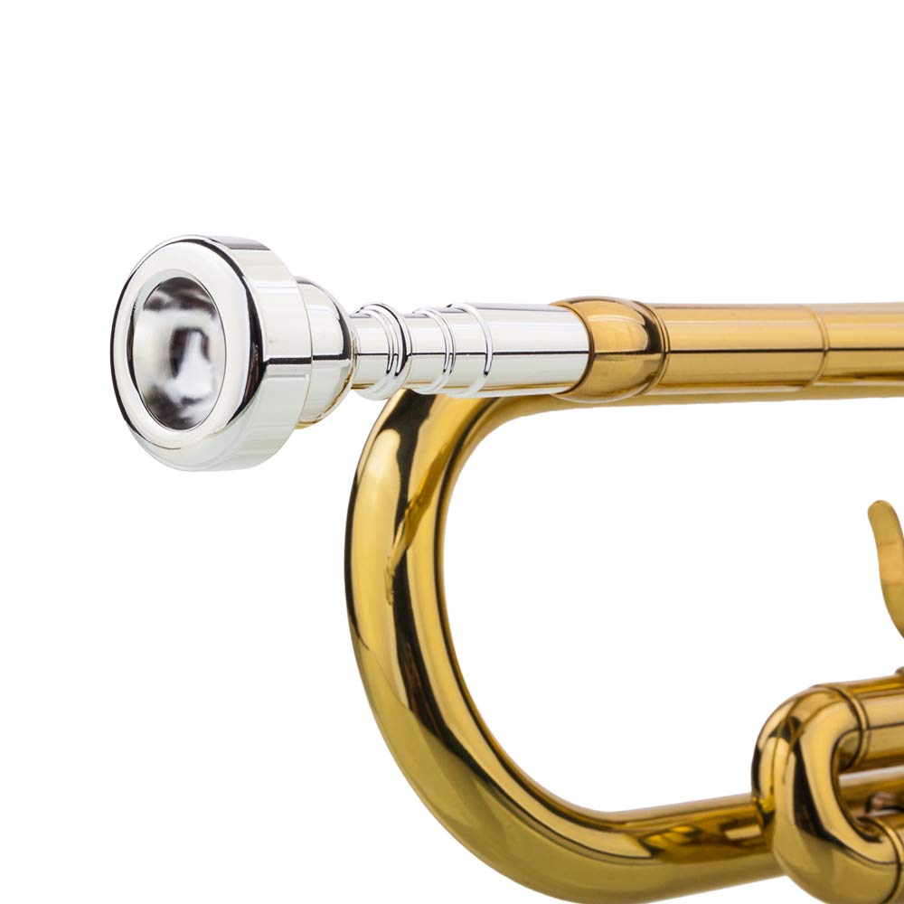 Bb Trumpet with Case and Gloves G9429