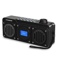 Portable FM Radio & Bluetooth Speaker B691