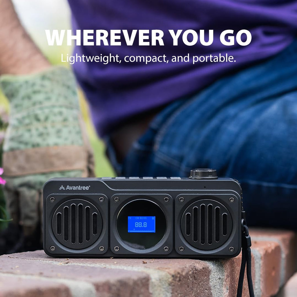 Portable FM Radio & Bluetooth Speaker B691