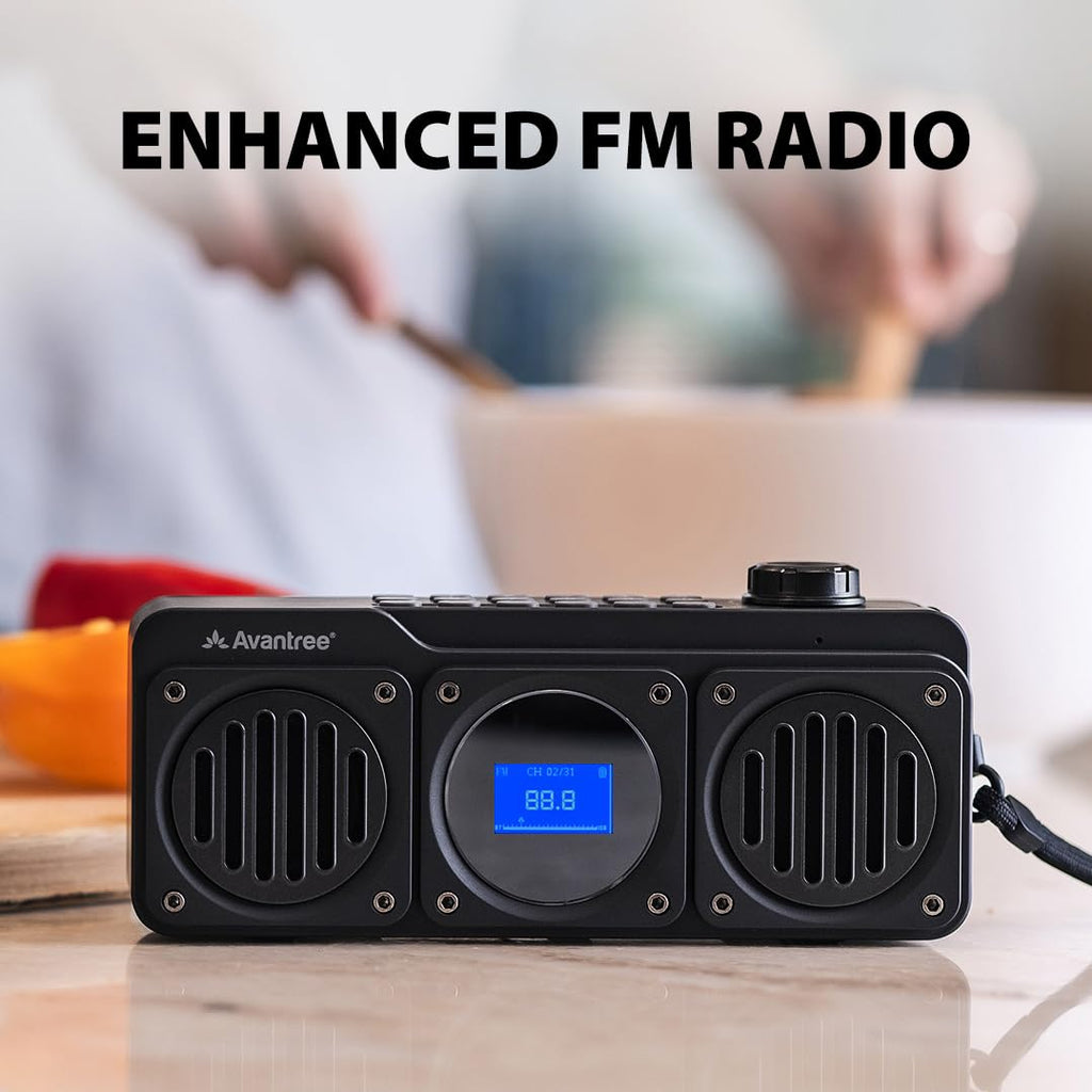 Portable FM Radio & Bluetooth Speaker B691