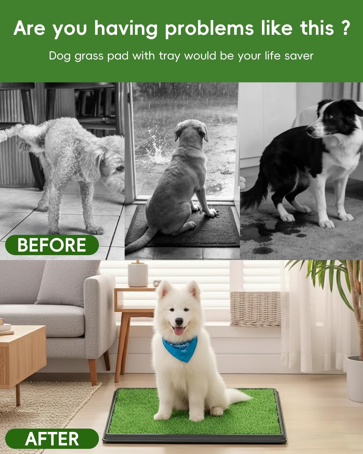 25" x 20" Artificial Grass Dog Potty Training Pad with Tray Q35941