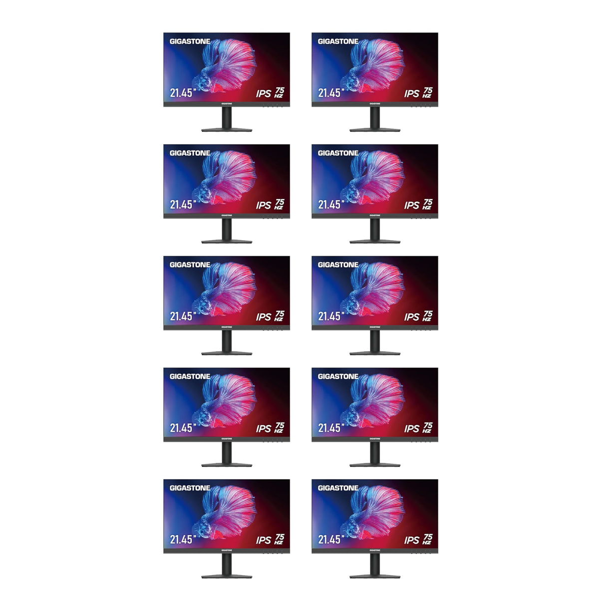 22 inch IPS LED Monitor 10-Pack 75Hz FHD Frameless D134119