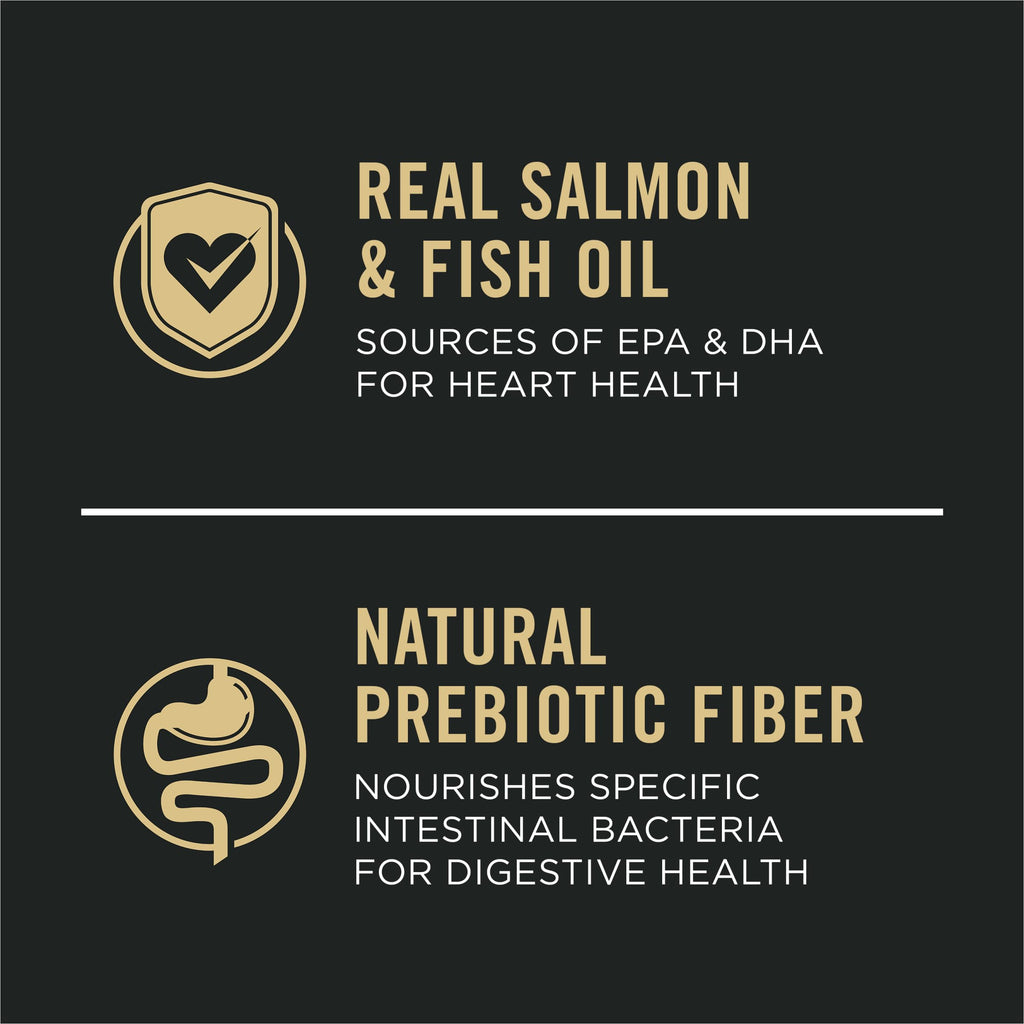 Salmon Puppy Dog Food 24 lb Bag N1405