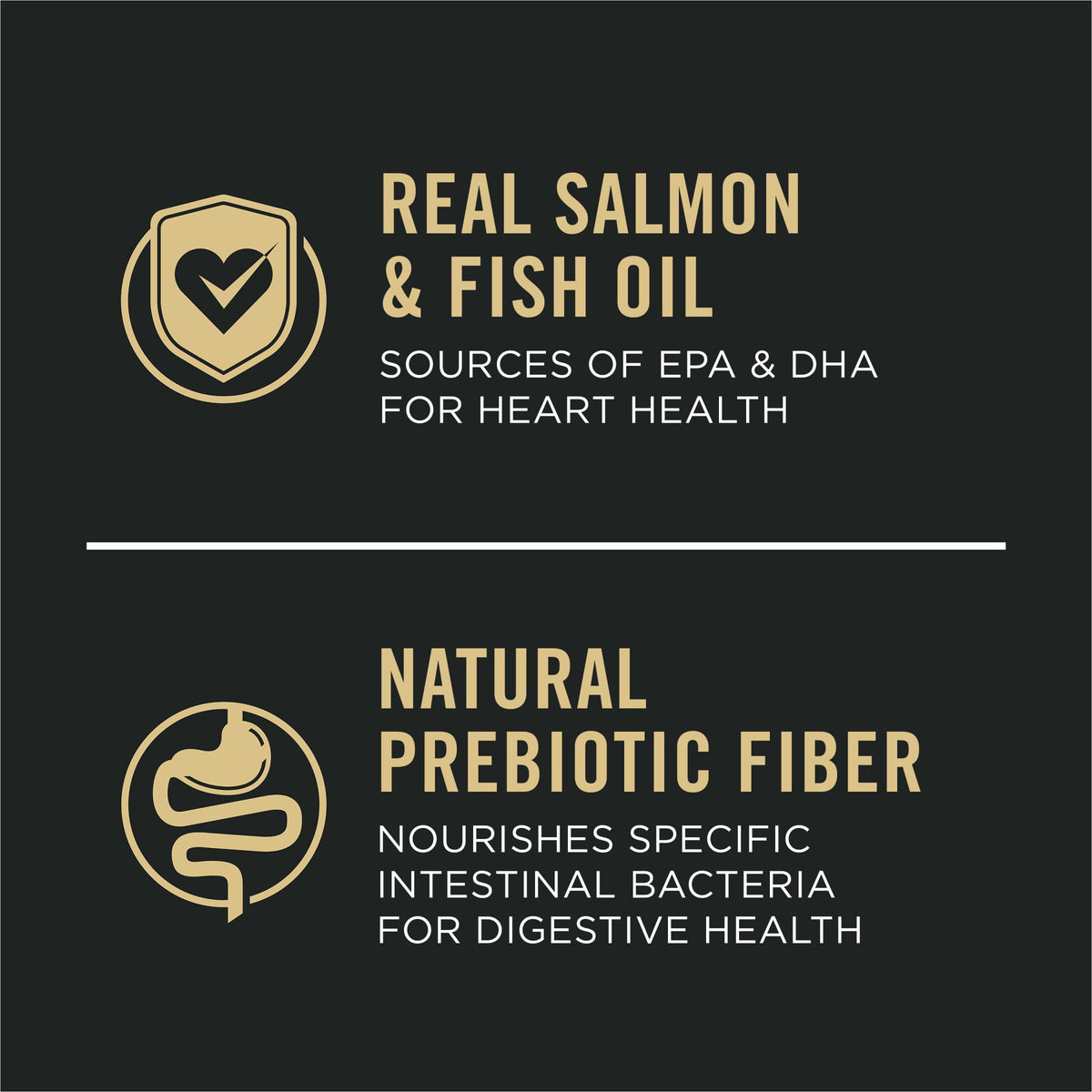 Salmon Puppy Dog Food 24 lb Bag N1405