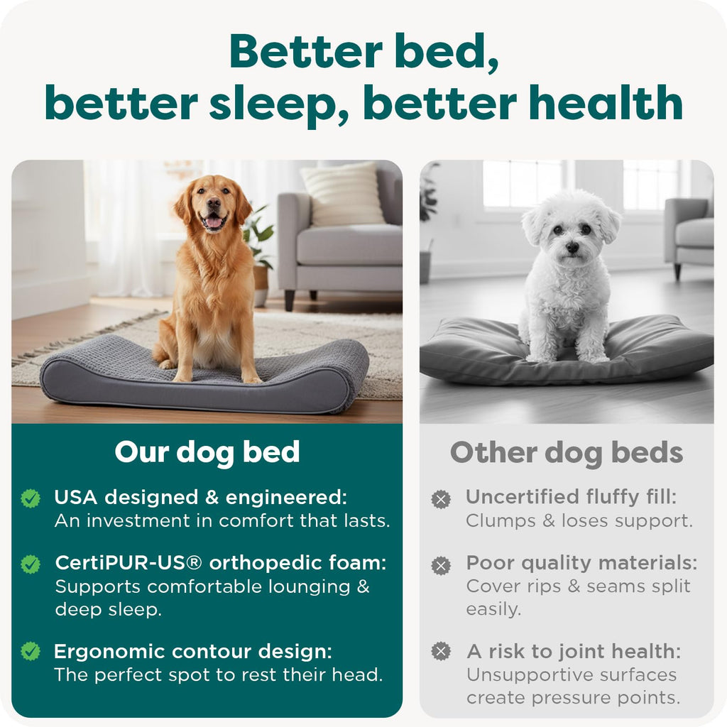 XL Plush Suede Orthopedic Dog Bed I25429