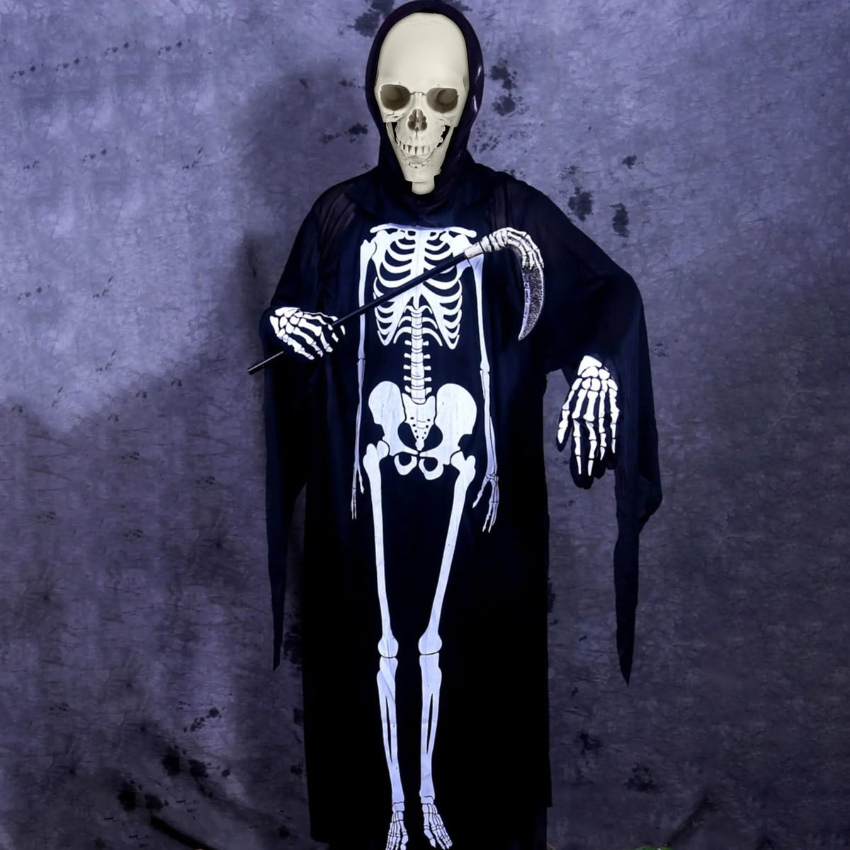 Full Size Movable Posable Skeleton X231709
