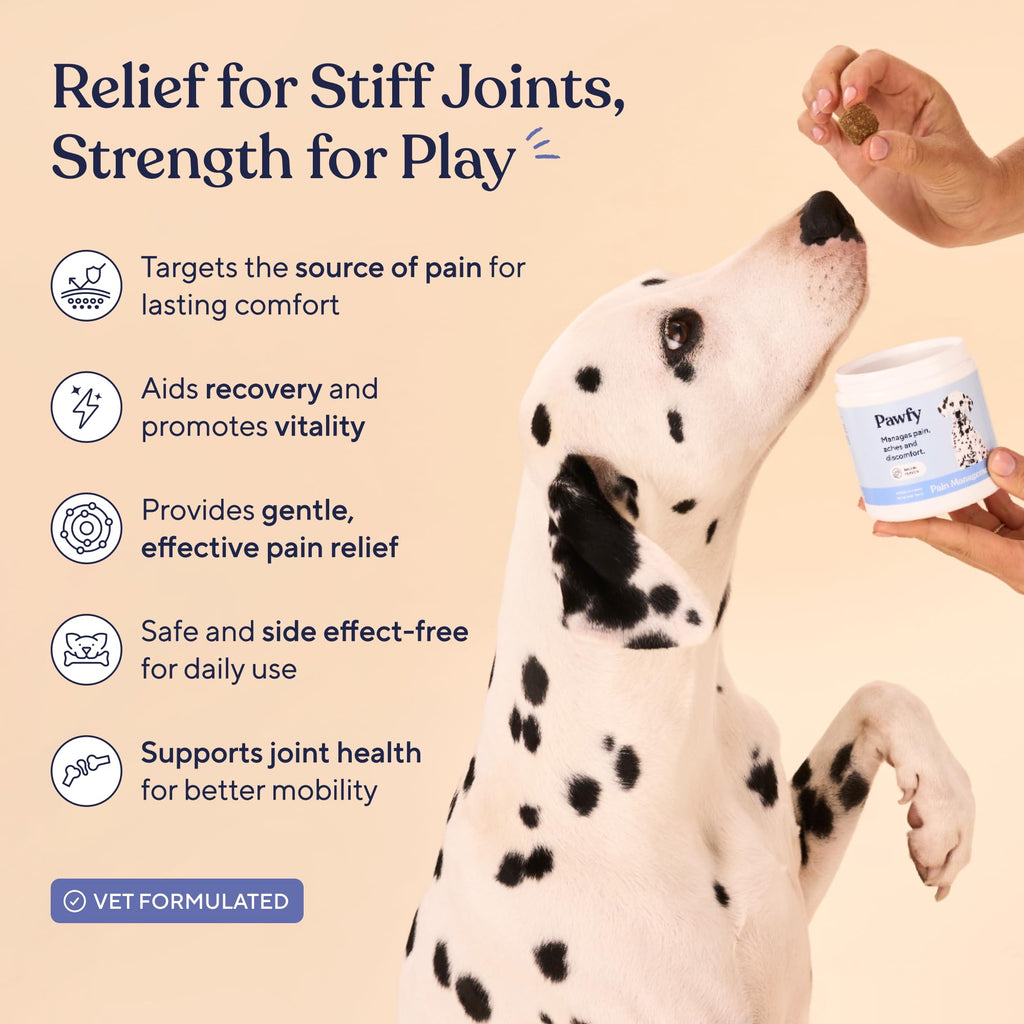 Hip & Joint Supplement for Dogs L19947