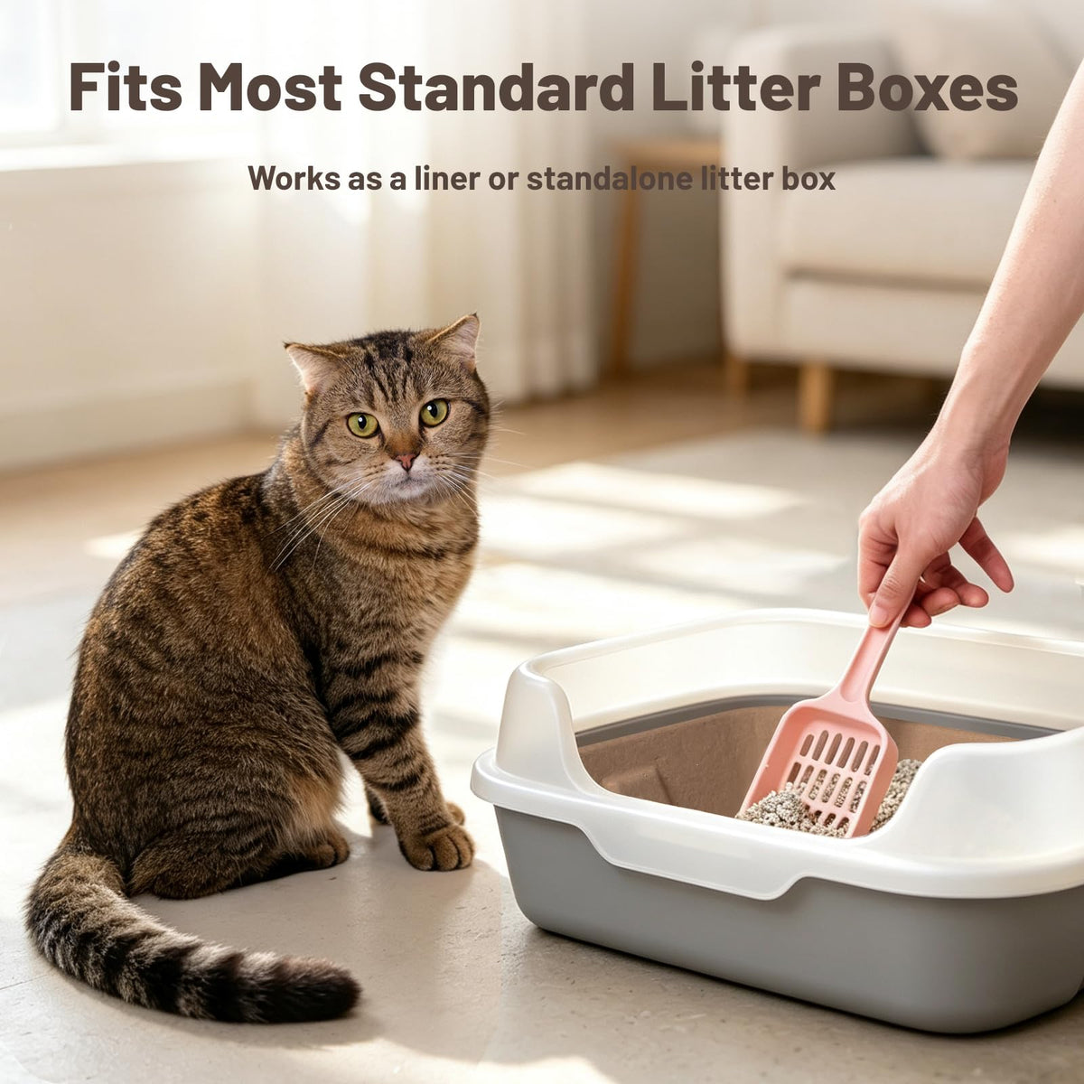 4 Pack Disposable Cardboard Cat Litter Boxes W9290