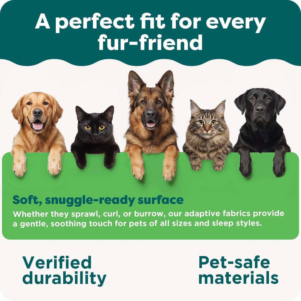 XL Plush Suede Orthopedic Dog Bed I25429
