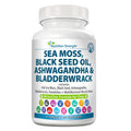 Sea Moss for Dogs V985