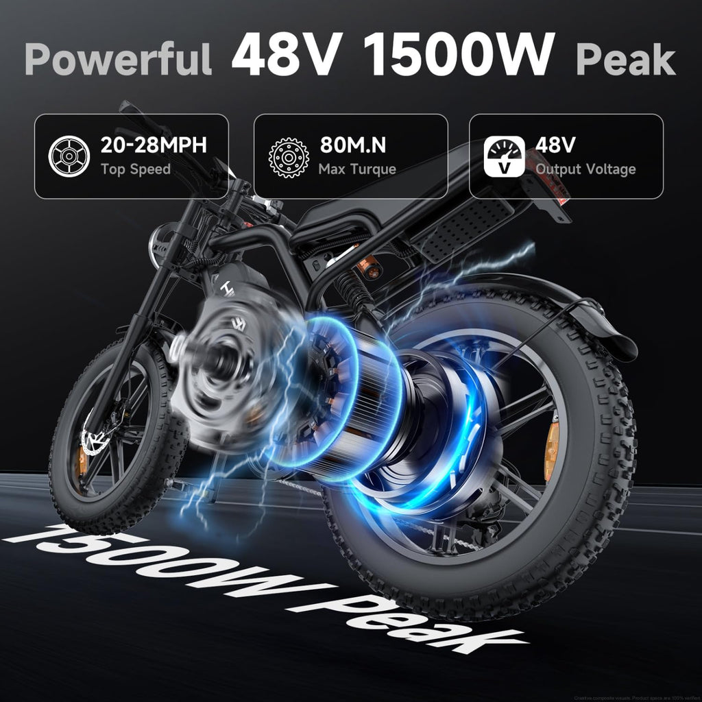 1500W Fat Tire Electric Bike W642