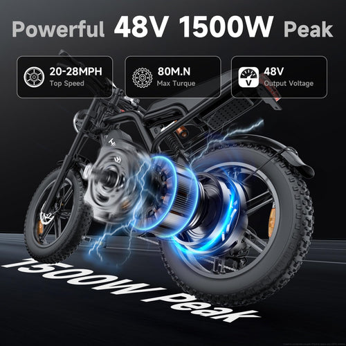 1500W Fat Tire Electric Bike W642