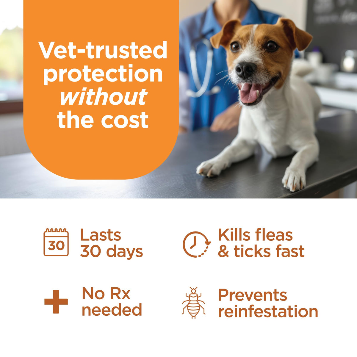 Flea Treatment for Dogs 6-22 lbs 3 Doses I47065