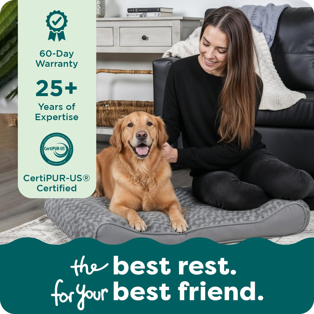 XL Plush Suede Orthopedic Dog Bed I25429