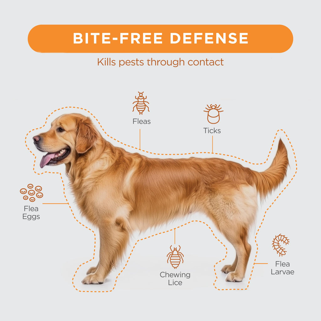 Flea Treatment for Dogs 6-22 lbs 3 Doses I47065