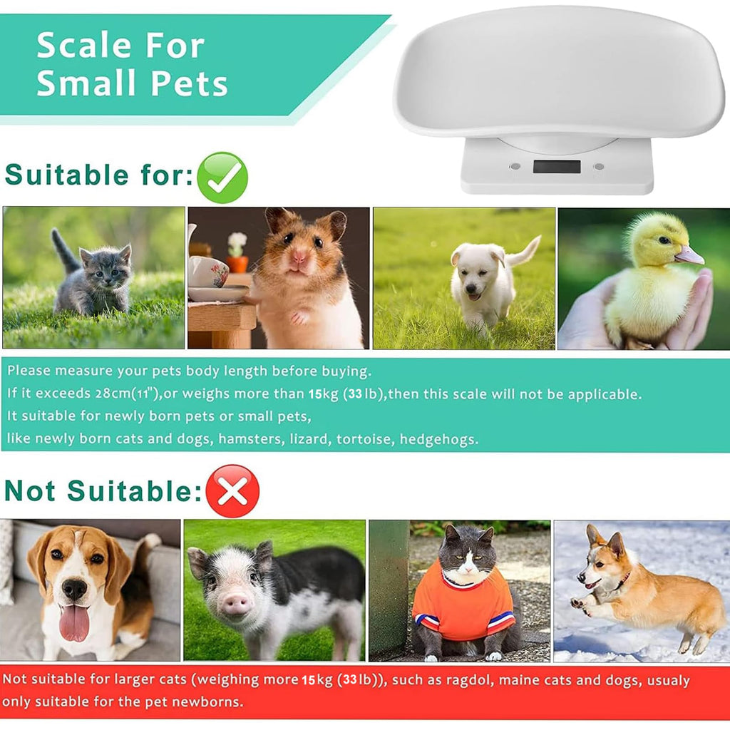 Digital Pet Scale Q823