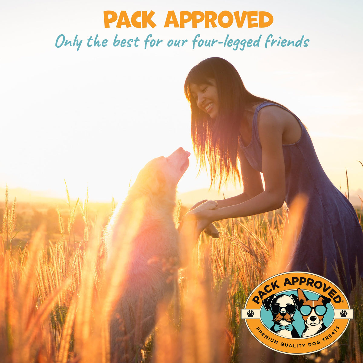 Peanut Butter Pill Wrap for Dogs 4.2oz R41165