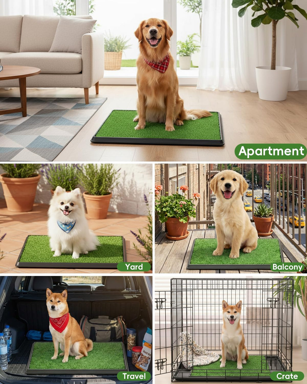 25" x 20" Artificial Grass Dog Potty Training Pad with Tray Q35941