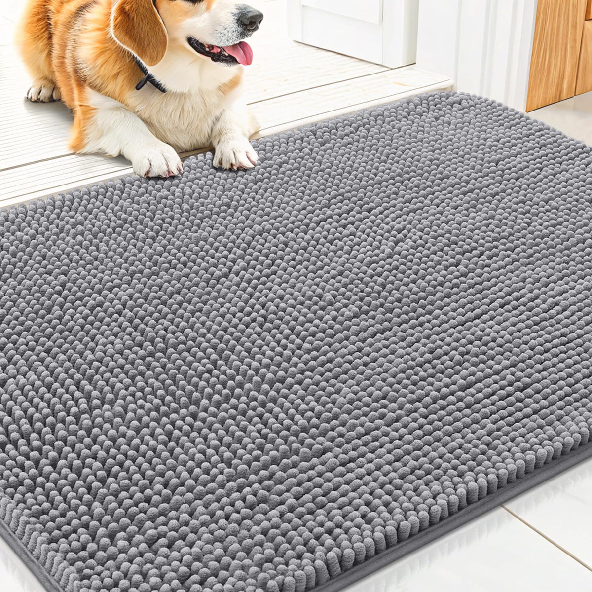 Dog Door Mat 30x20 S526782