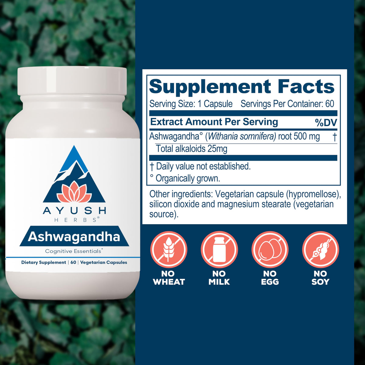 Ashwagandha Capsules 500mg 60 Servings F867157