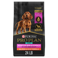 Salmon Puppy Dog Food 24 lb Bag N1405