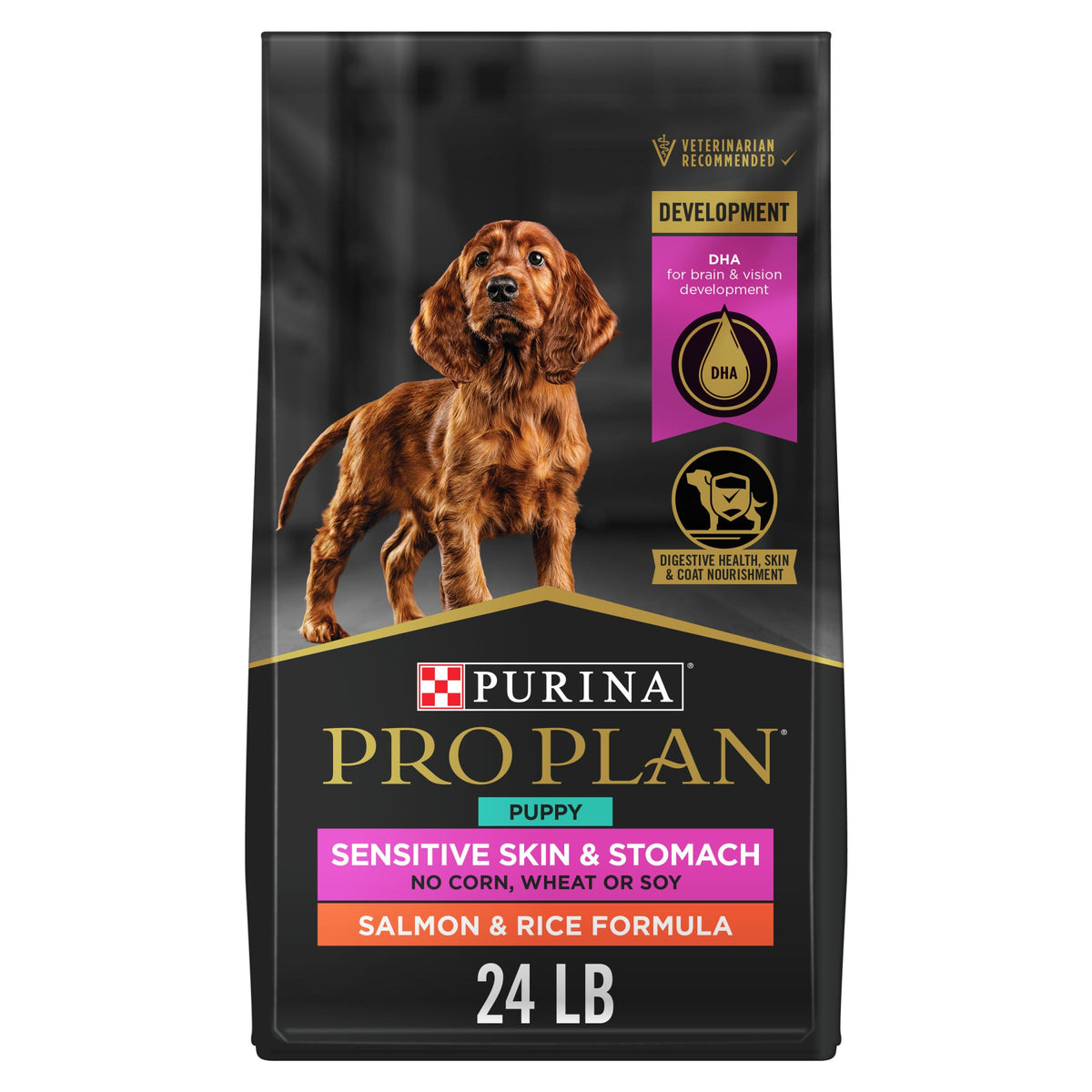 Salmon Puppy Dog Food 24 lb Bag N1405