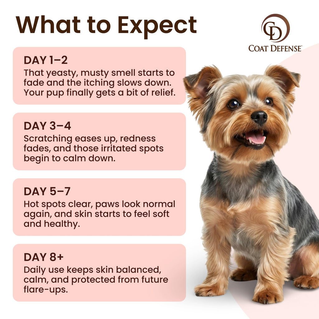 Daily Preventative Powder & Shampoo for Dogs C434805