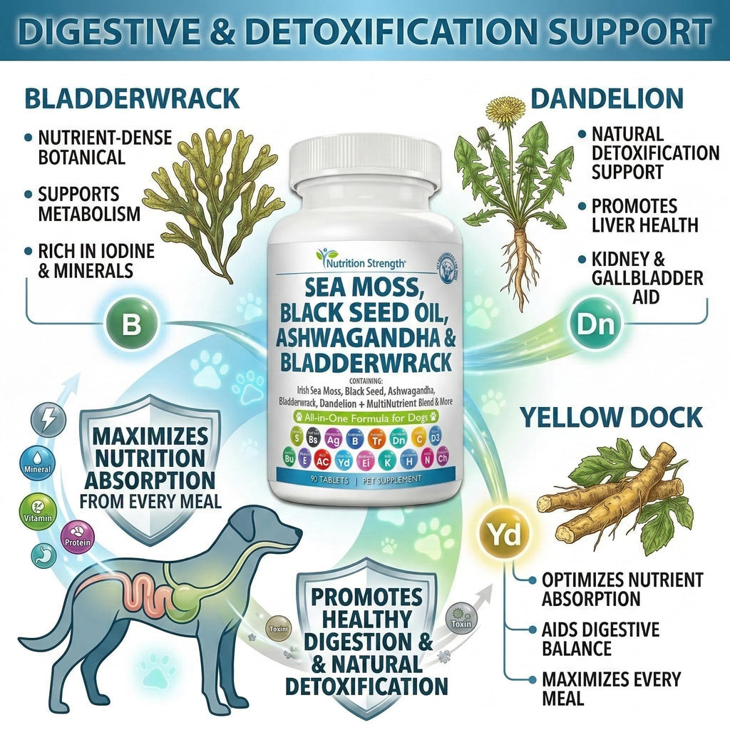 Sea Moss for Dogs V985