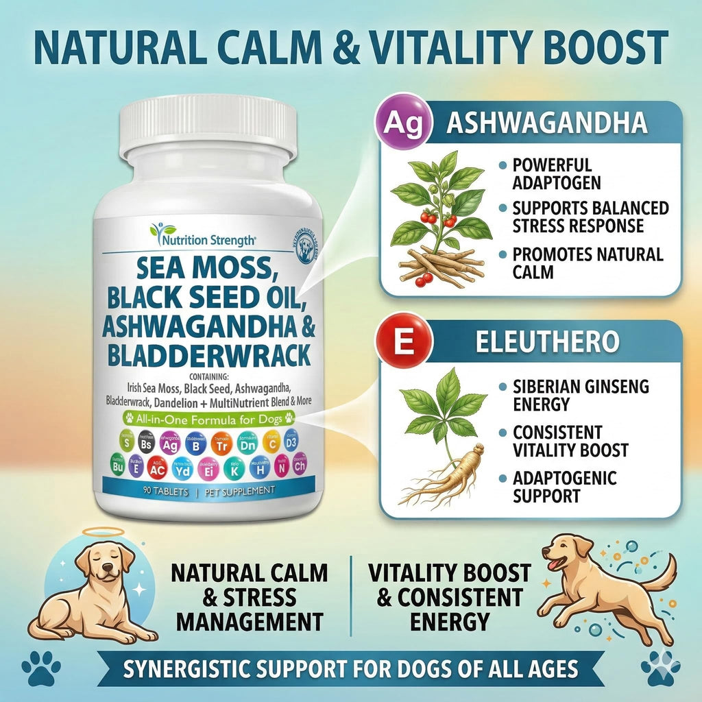 Sea Moss for Dogs V985