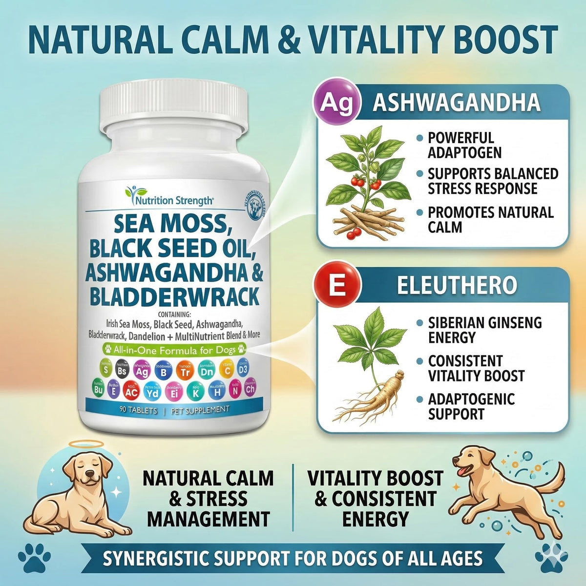 Sea Moss for Dogs V985