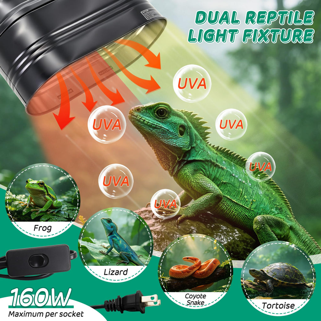Reptile Light Fixture with Independent Switches V79133
