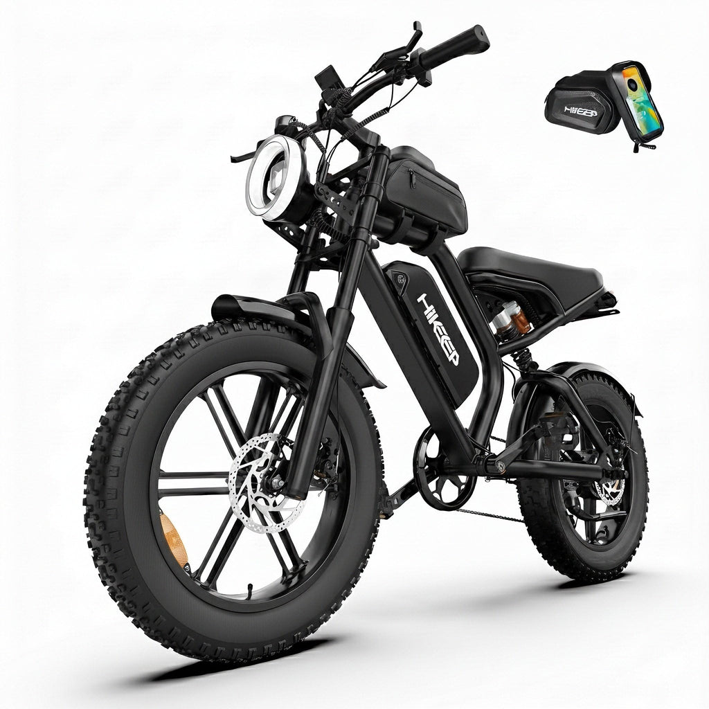 1500W Fat Tire Electric Bike W642