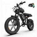 1500W Fat Tire Electric Bike W642