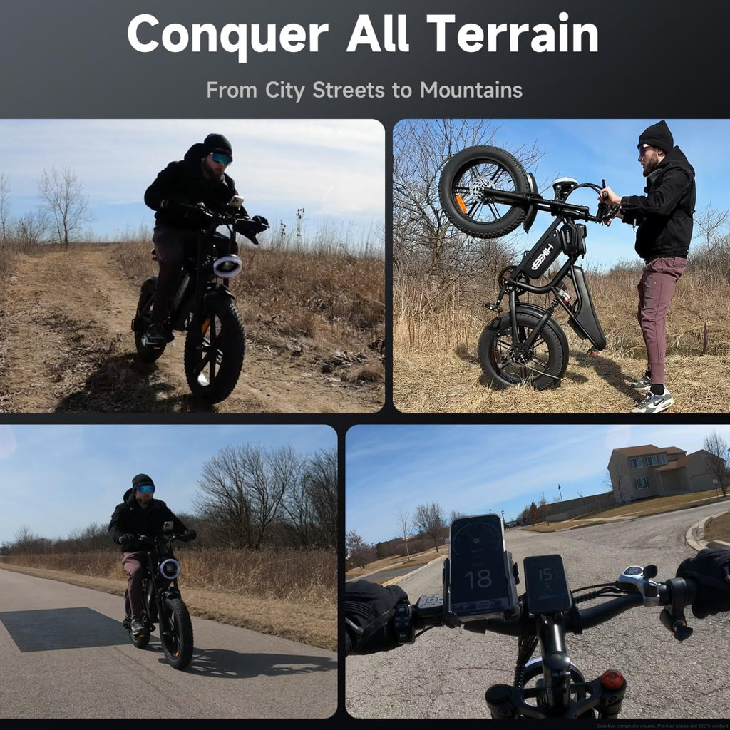 1500W Fat Tire Electric Bike W642