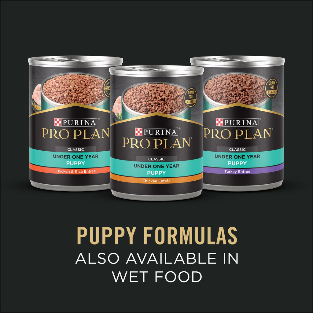 Salmon Puppy Dog Food 24 lb Bag N1405