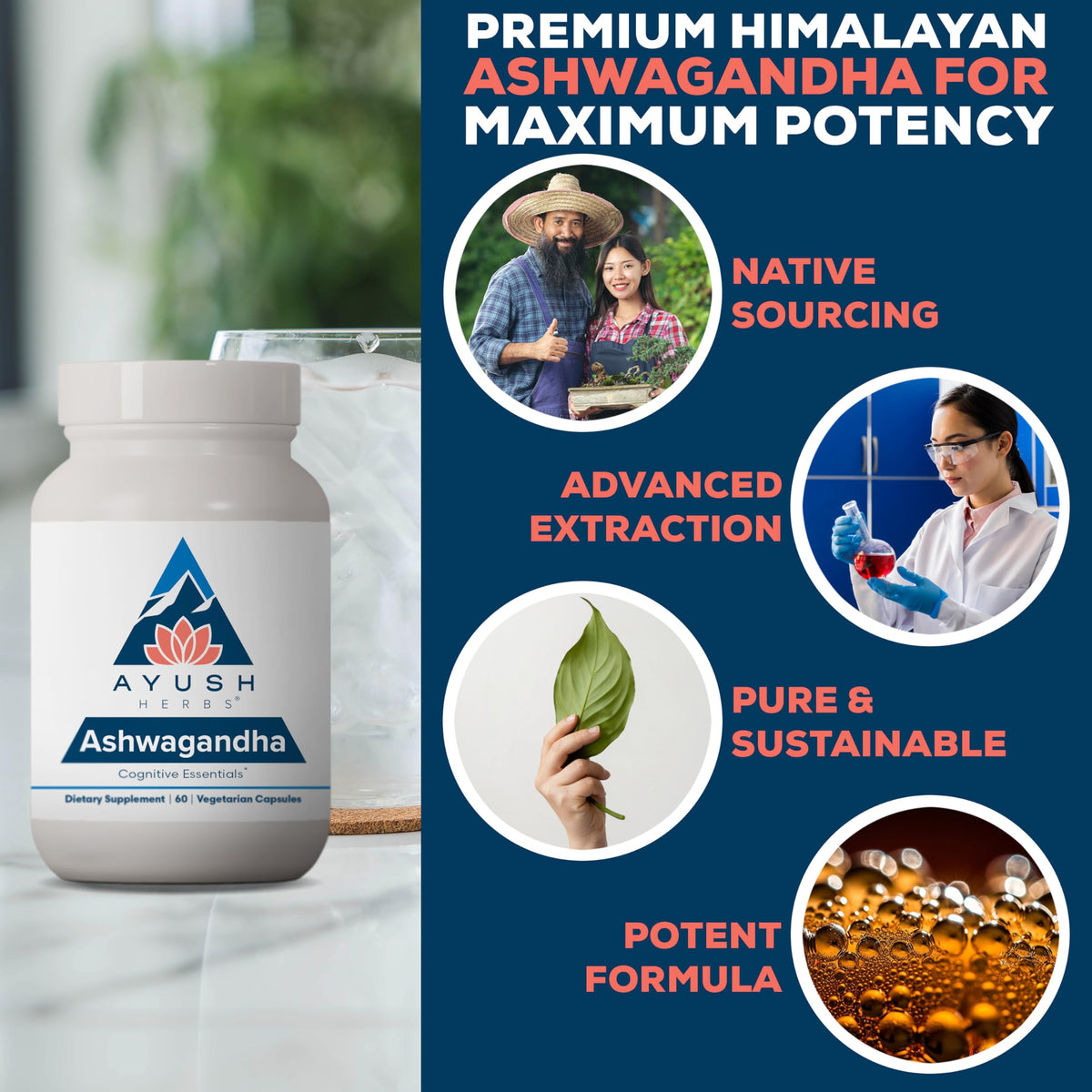 Ashwagandha Capsules 500mg 60 Servings F867157