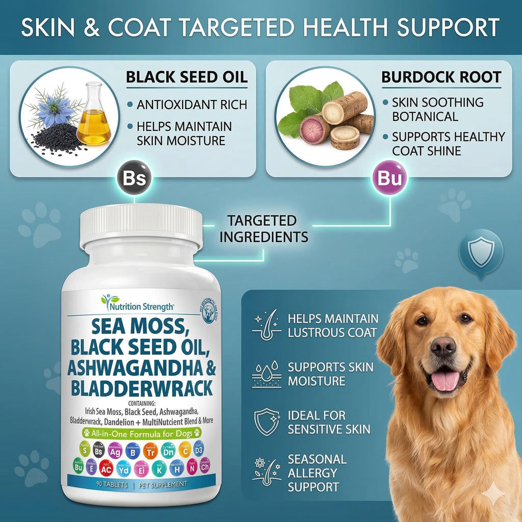 Sea Moss for Dogs V985