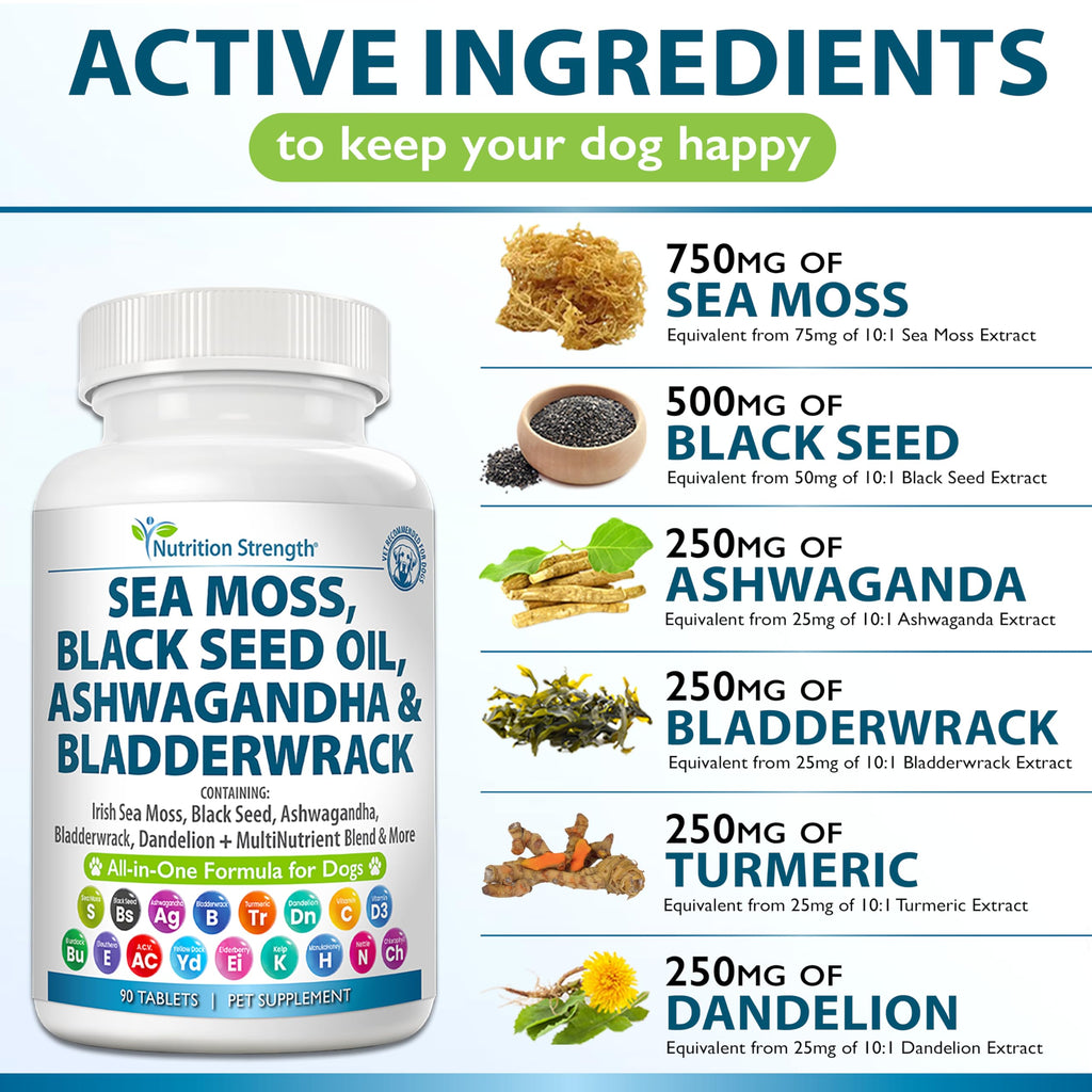 Sea Moss for Dogs V985