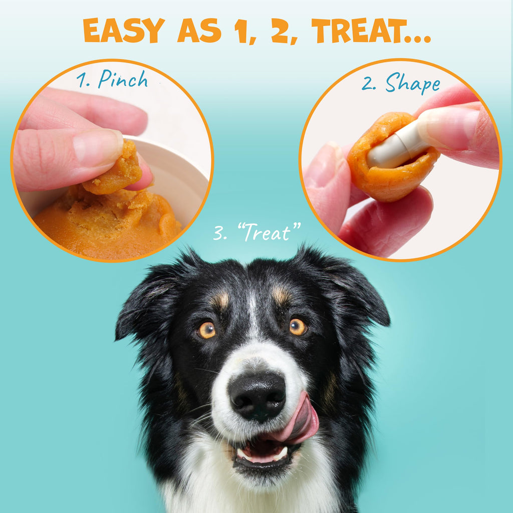 Peanut Butter Pill Wrap for Dogs 4.2oz R41165