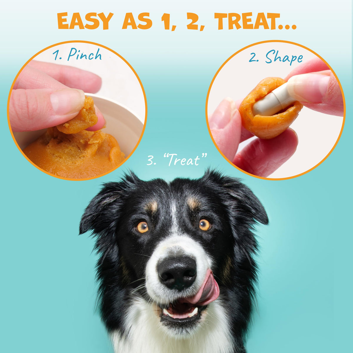 Peanut Butter Pill Wrap for Dogs 4.2oz R41165