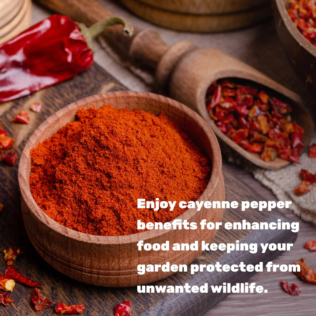 Ground Cayenne Pepper Powder, 5 Pounds T7864